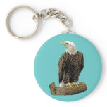 Bald Eagle Drawing Keychains