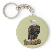 Bald Eagle Drawing Keychains