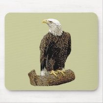 Bald Eagle Drawing Mouse Pads