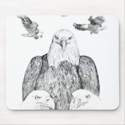 Bald Eagle Drawing Mousepad by SusansZooCrew