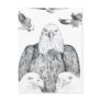Bald Eagle Drawing Post Cards