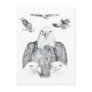 Bald Eagle Drawing Postcards