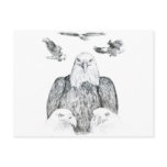 Bald Eagle Drawing Post Card