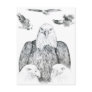 Bald Eagle Drawing Postcards