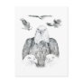 Bald Eagle Drawing Postcard