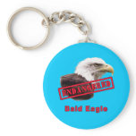 Bald Eagle Endangered Species Keychains