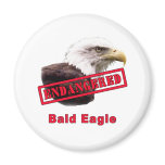 Bald Eagle Endangered Species magnets