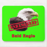 Bald Eagle Endangered Species Mouse Pad