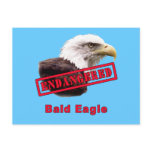 Bald Eagle Endangered Species Postcards