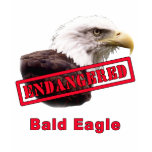 Bald Eagle Endangered Species t-shirts