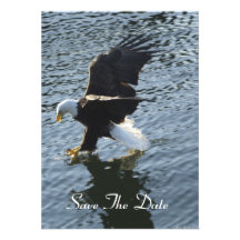 Bald Eagle Fishing in the Ocean Invitation Cards