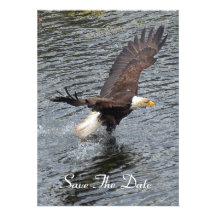 Bald Eagle Fishing in the Ocean Invitation Cards
