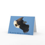 Bald Eagle Flight Collection II Cards