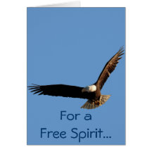 Bald Eagle Flight Collection II Cards