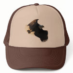Bald Eagle Flight Collection II Mesh Hats