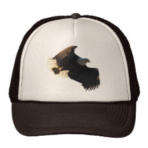 Bald Eagle Flight Collection II Mesh Hats