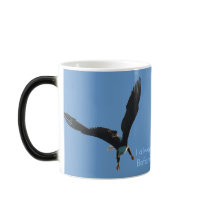 Bald Eagle Flight Collection Mugs