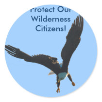 Bald Eagle Flight Collection Round Sticker