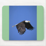 Bald Eagle flying across blue sky Mouse Pad