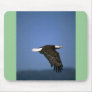 Bald Eagle flying across horizon Mouse Pads