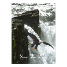 Bald Eagle Flying by Waterfall Invitation Cards