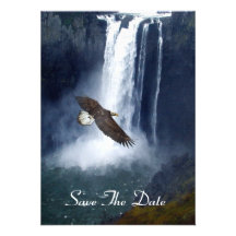 Bald Eagle Flying by Waterfall Invitation Cards