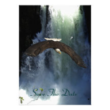 Bald Eagle Flying by Waterfall Invitation Cards