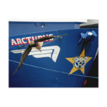 Bald Eagle flying past the F/V Arcturus Postcard