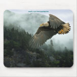 Bald Eagle & Forest Wilderness Mousepads