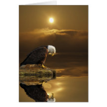 Bald Eagle GRATITUDE Series Card