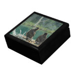 Bald Eagle Grooming; Customizable Gift Boxes