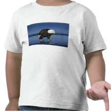 Bald Eagle, Haliaeetus leucocephalus,adult Tshirts