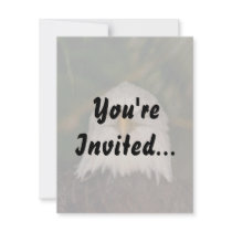 Bald Eagle Head On photograph design Personalized Announcement