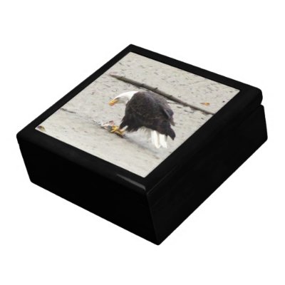 Bald Eagle Hoarding Fish; No Text Keepsake Box by Picture_Imperfect