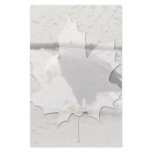 Bald Eagle Hoarding Fish; No Text Stationery Design
