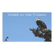 Bald Eagle Ignores a Magpie; Yukon Terr. Souvenir Rectangle Stickers