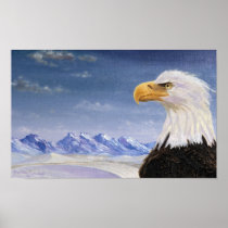 Bald Eagle in Alaska Poster