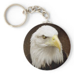 Bald Eagle Key Chain