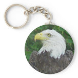 Bald Eagle Keychain