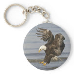 bald eagle keychains