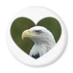 Bald Eagle Refrigerator Magnet