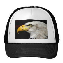 Bald Eagle Mesh Hats