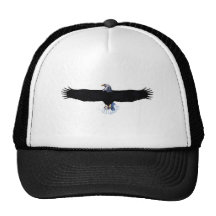 Bald eagle, modification trucker hat