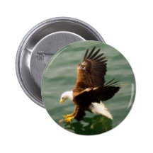 Bald Eagle Motivational Gift Buttons