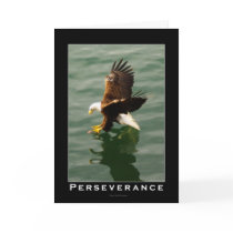 Bald Eagle Motivational Gift Greeting Cards