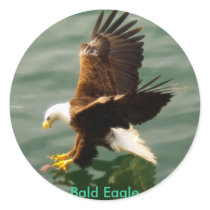 Bald Eagle Motivational Gift Stickers