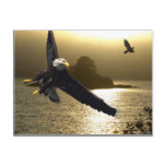 Bald Eagle Motivational Gifts Post Card