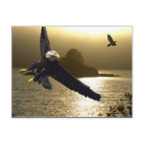 Bald Eagle Motivational Gifts Post Card