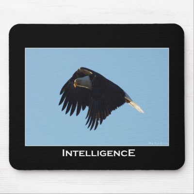 BALD EAGLE Motivational Mouse Mat by RavenSpiritPrints