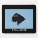 BALD EAGLE Motivational mousepads